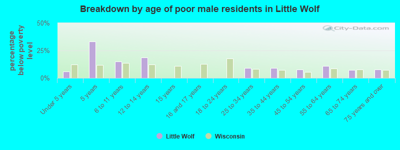 Breakdown by age of poor male residents in Little Wolf