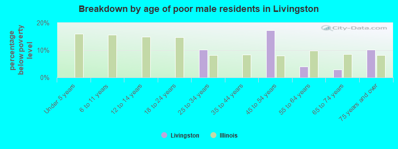 Breakdown by age of poor male residents in Livingston