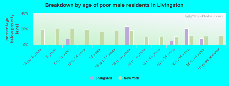 Breakdown by age of poor male residents in Livingston