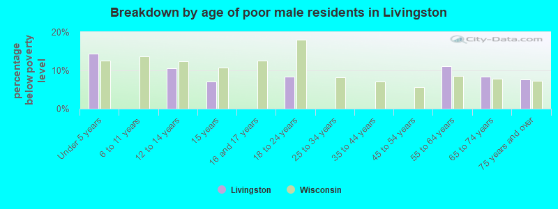 Breakdown by age of poor male residents in Livingston
