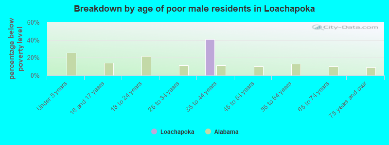 Breakdown by age of poor male residents in Loachapoka