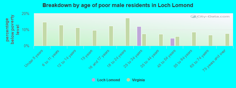Breakdown by age of poor male residents in Loch Lomond