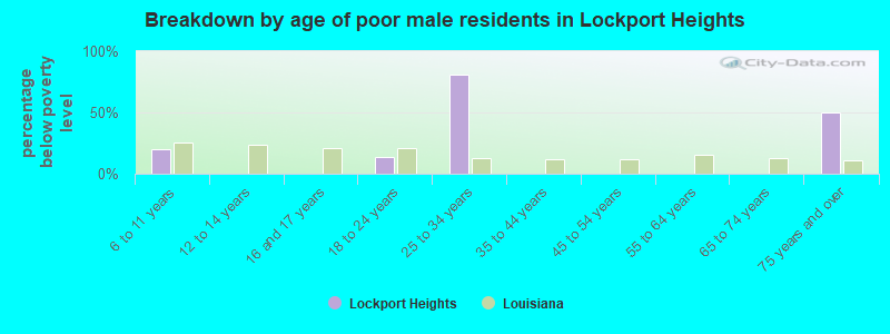 Breakdown by age of poor male residents in Lockport Heights