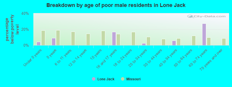 Breakdown by age of poor male residents in Lone Jack
