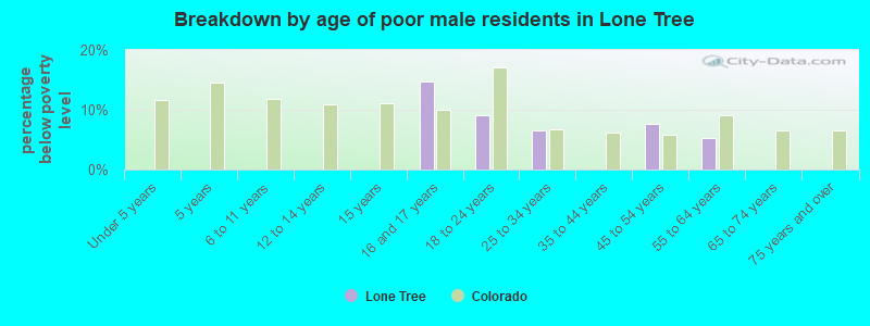 Breakdown by age of poor male residents in Lone Tree