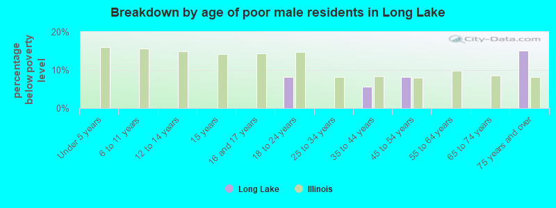 Breakdown by age of poor male residents in Long Lake