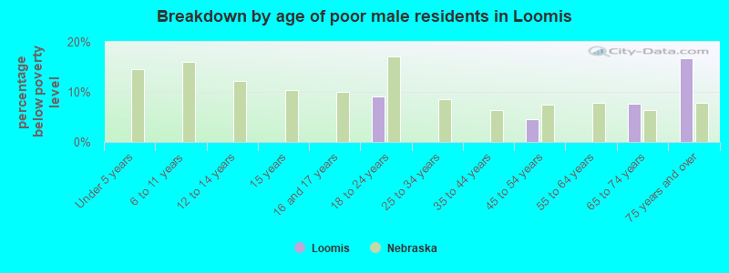 Breakdown by age of poor male residents in Loomis