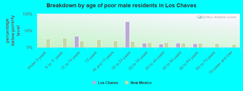 Breakdown by age of poor male residents in Los Chaves