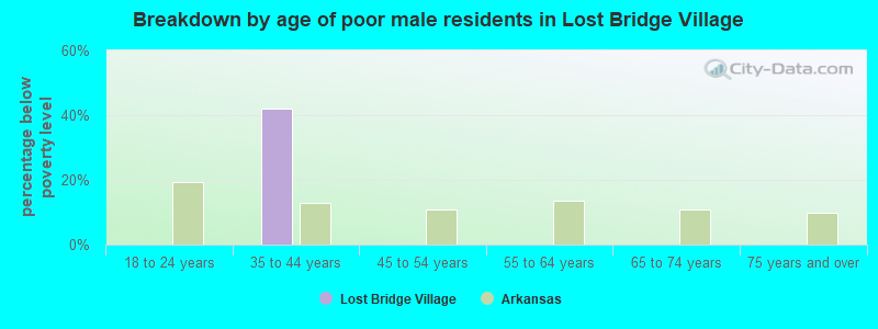 Breakdown by age of poor male residents in Lost Bridge Village