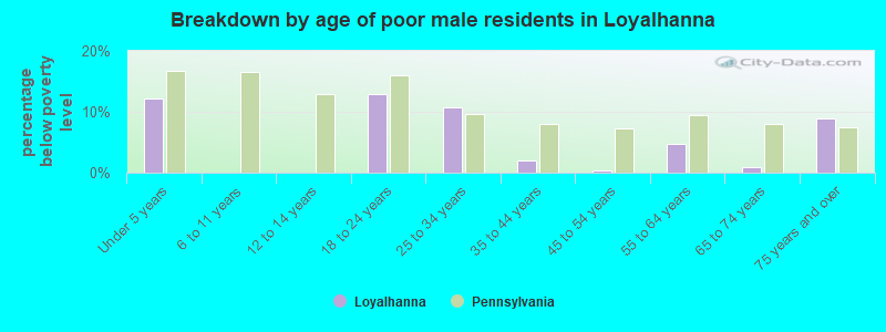Breakdown by age of poor male residents in Loyalhanna