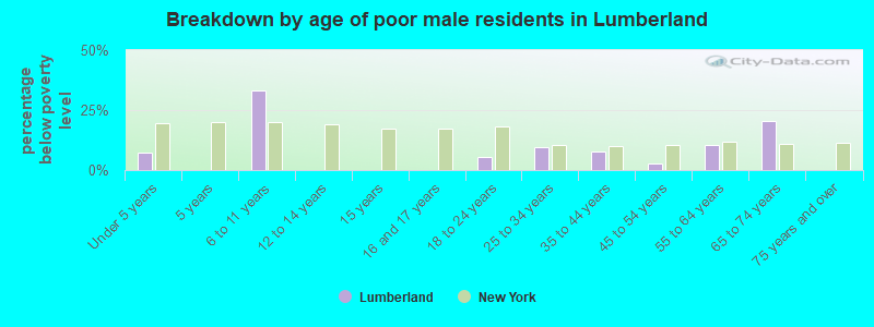 Breakdown by age of poor male residents in Lumberland