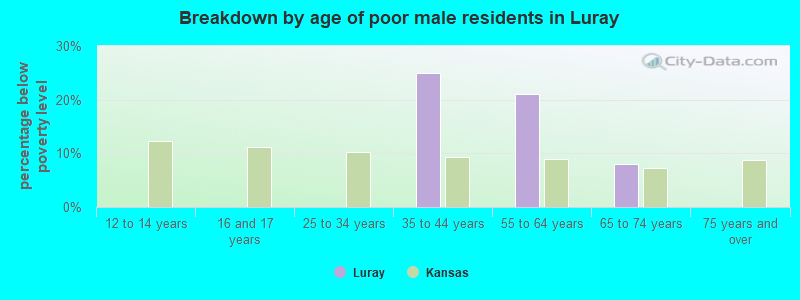 Breakdown by age of poor male residents in Luray