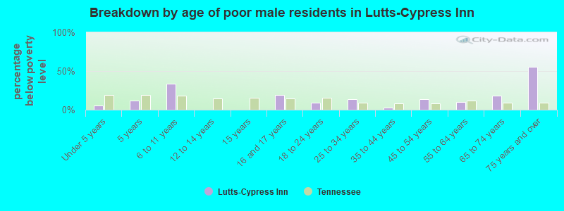 Breakdown by age of poor male residents in Lutts-Cypress Inn