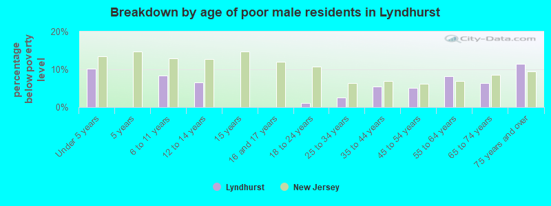 Breakdown by age of poor male residents in Lyndhurst