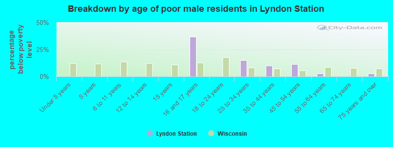 Breakdown by age of poor male residents in Lyndon Station