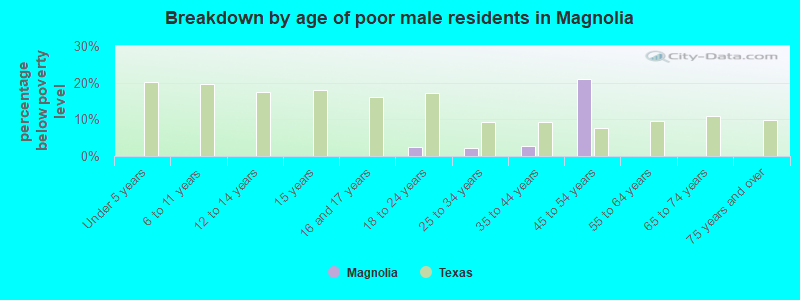 Breakdown by age of poor male residents in Magnolia