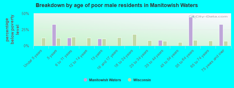 Breakdown by age of poor male residents in Manitowish Waters