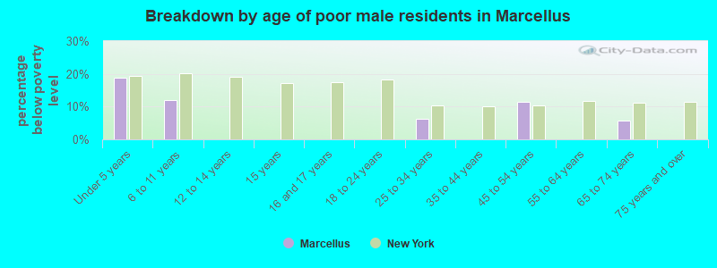 Breakdown by age of poor male residents in Marcellus