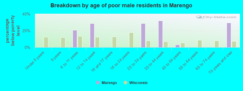 Breakdown by age of poor male residents in Marengo