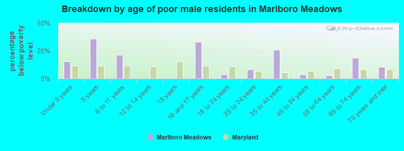 Breakdown by age of poor male residents in Marlboro Meadows