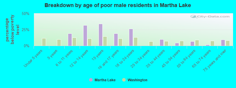 Breakdown by age of poor male residents in Martha Lake