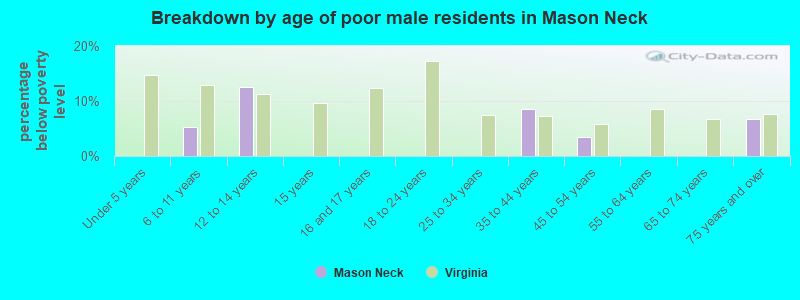 Breakdown by age of poor male residents in Mason Neck