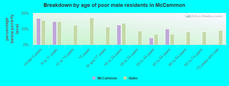 Breakdown by age of poor male residents in McCammon