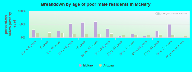 Breakdown by age of poor male residents in McNary