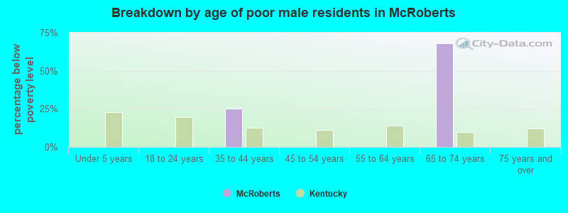 Breakdown by age of poor male residents in McRoberts