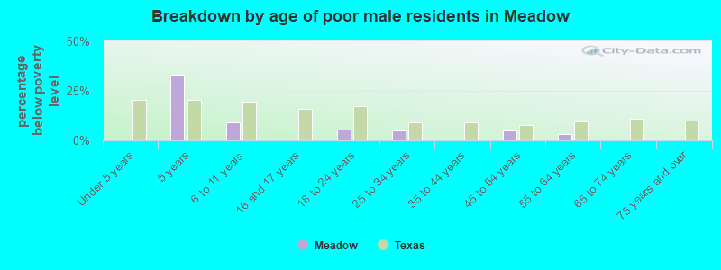 Breakdown by age of poor male residents in Meadow