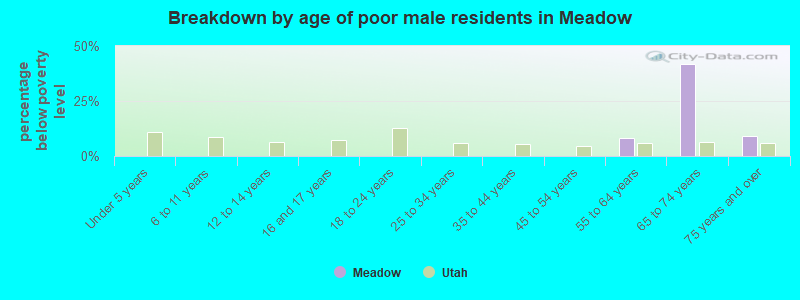 Breakdown by age of poor male residents in Meadow
