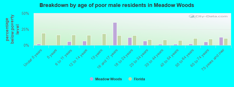 Breakdown by age of poor male residents in Meadow Woods