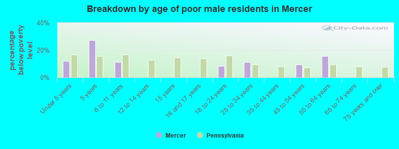 Breakdown by age of poor male residents in Mercer