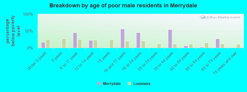 Breakdown by age of poor male residents in Merrydale