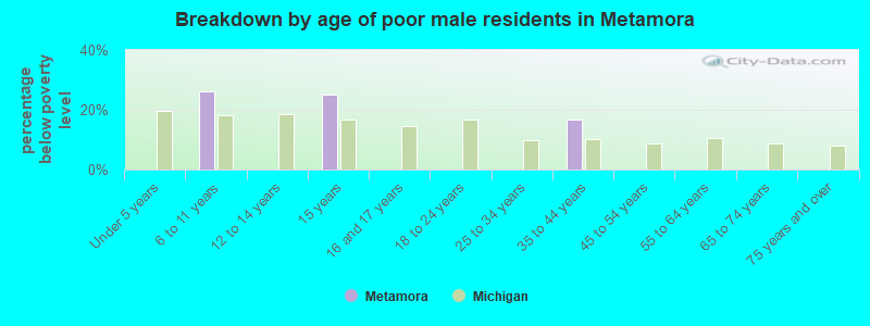 Breakdown by age of poor male residents in Metamora