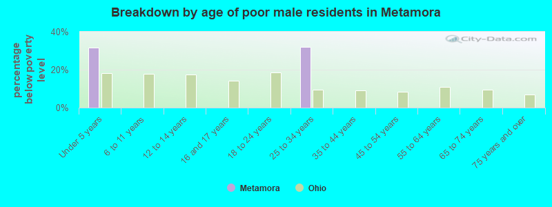 Breakdown by age of poor male residents in Metamora