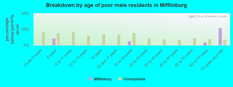 Breakdown by age of poor male residents in Mifflinburg