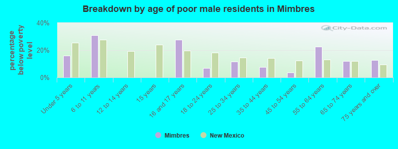 Breakdown by age of poor male residents in Mimbres