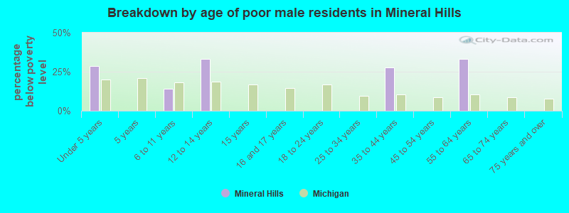 Breakdown by age of poor male residents in Mineral Hills
