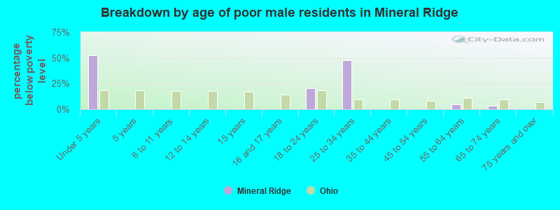 Breakdown by age of poor male residents in Mineral Ridge