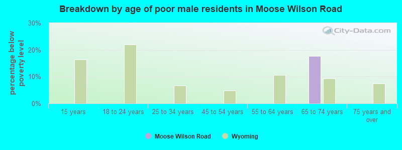 Breakdown by age of poor male residents in Moose Wilson Road