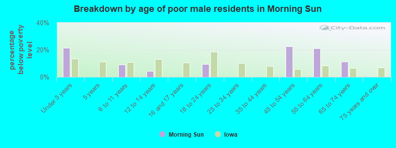 Breakdown by age of poor male residents in Morning Sun