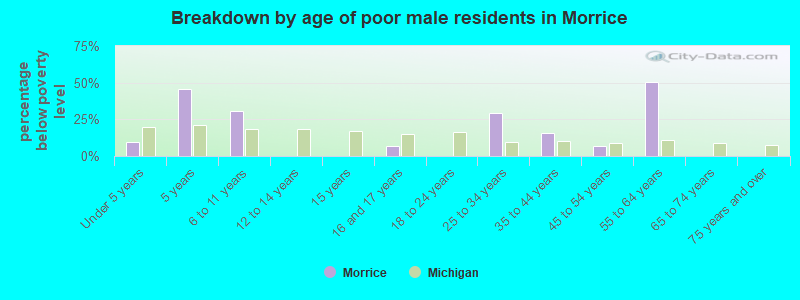 Breakdown by age of poor male residents in Morrice