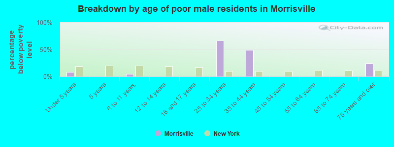 Breakdown by age of poor male residents in Morrisville