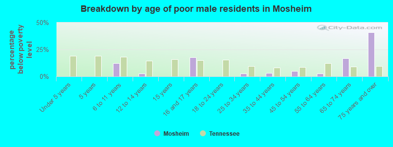 Breakdown by age of poor male residents in Mosheim