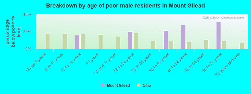 Breakdown by age of poor male residents in Mount Gilead