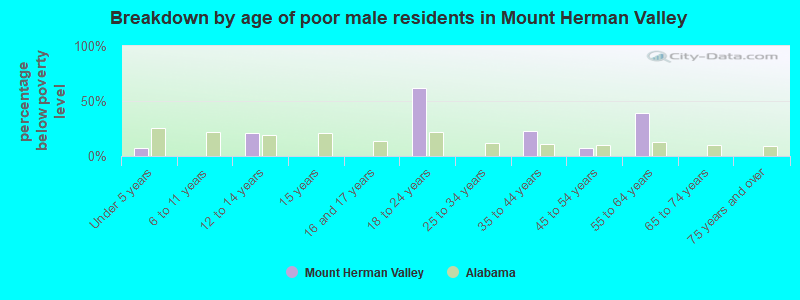 Breakdown by age of poor male residents in Mount Herman Valley