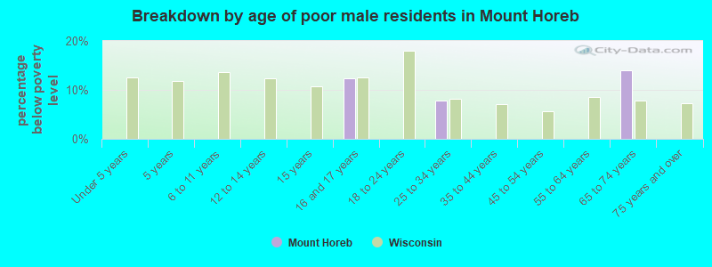 Breakdown by age of poor male residents in Mount Horeb