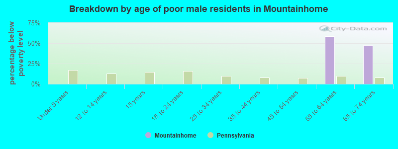 Breakdown by age of poor male residents in Mountainhome