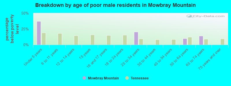 Breakdown by age of poor male residents in Mowbray Mountain